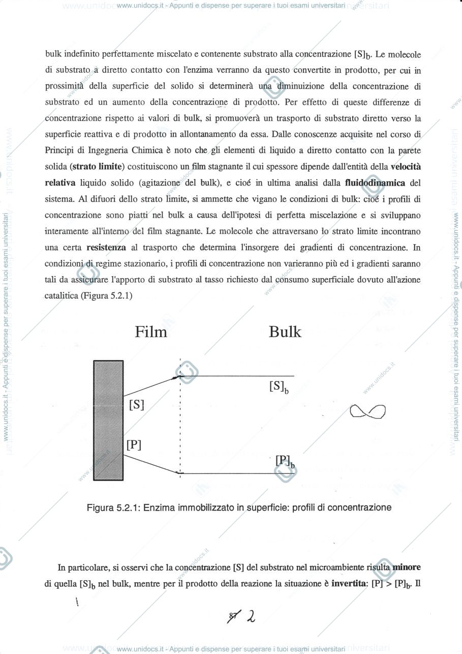 Anteprima pagina 2 — 5  Trasporto di materia e reazioni enzimatiche-parte I