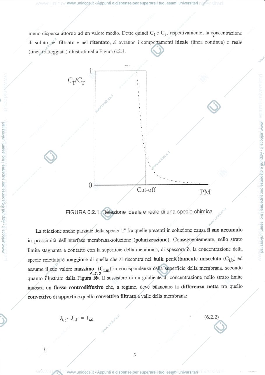Anteprima pagina 3 — 6  Reattori enzimatici continui omogenei ed eterogenei