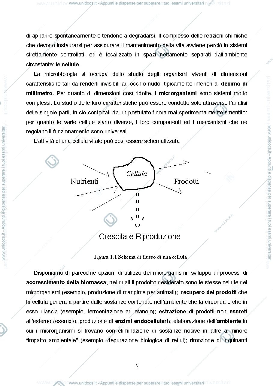 Anteprima pagina 3 — Cenni di microbiologia e biochimica