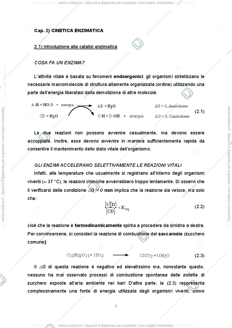 Anteprima pagina 1 — 2.Cinetica enzimatica pratica