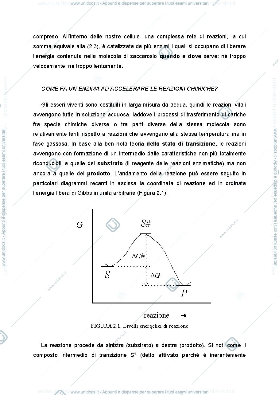 Anteprima pagina 2 — 2.Cinetica enzimatica pratica