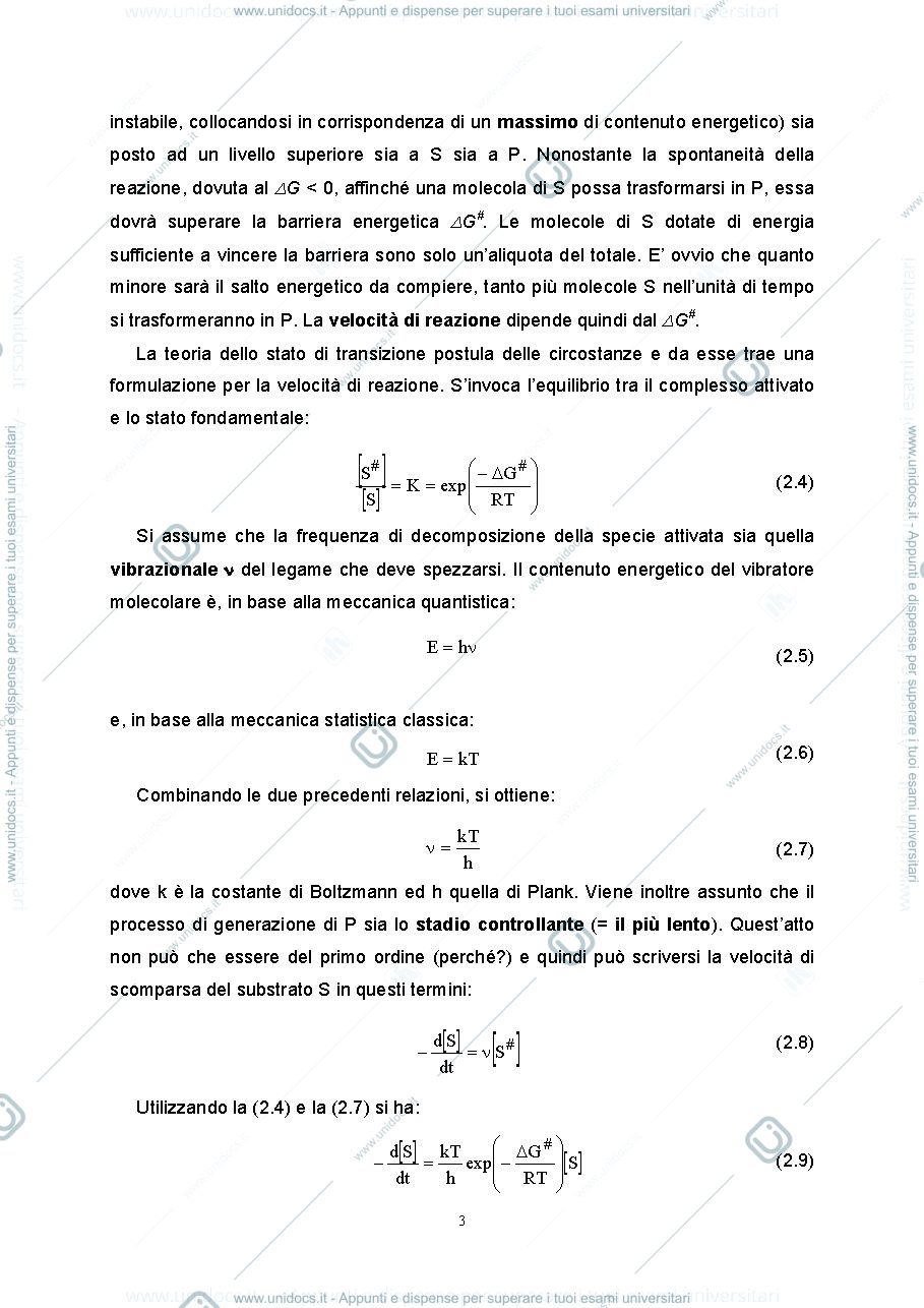 Anteprima pagina 3 — 2.Cinetica enzimatica pratica