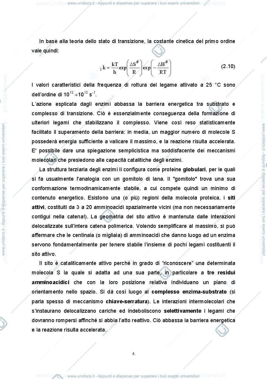 Anteprima pagina 4 — 2.Cinetica enzimatica pratica
