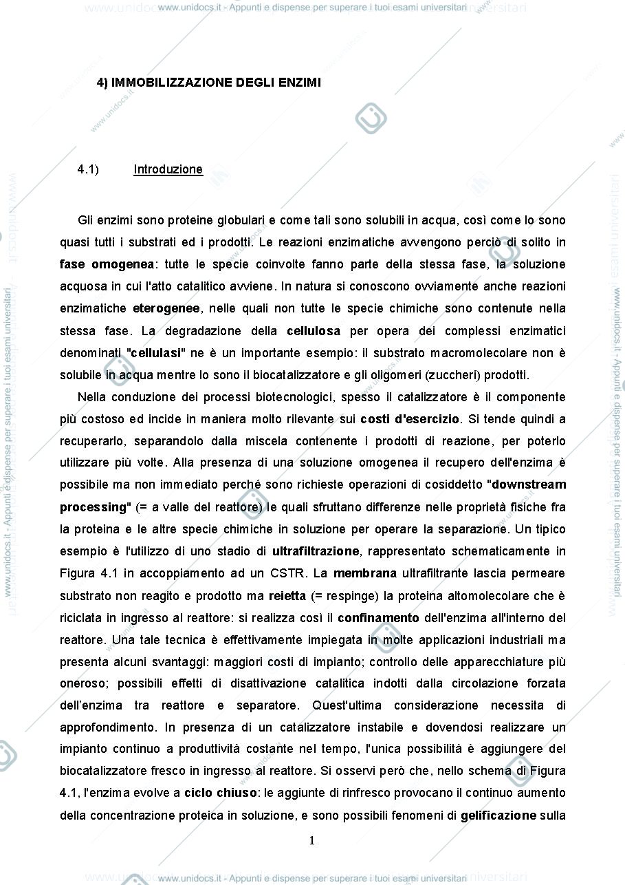 Anteprima pagina 1 — 4 Immobilizzazione degli enzimi