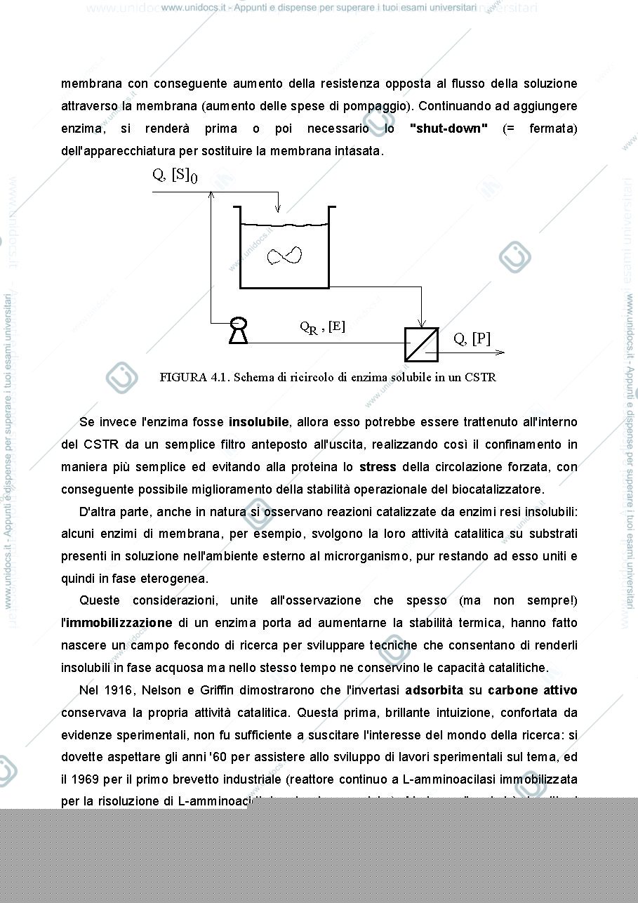 Anteprima pagina 2 — 4 Immobilizzazione degli enzimi