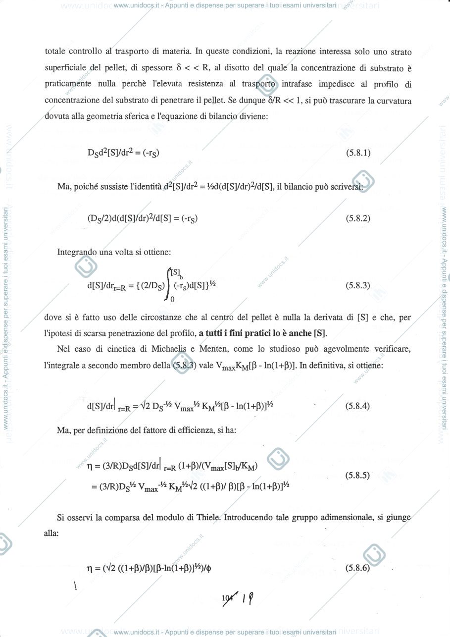 Anteprima pagina 1 — 5  Trasporto di materia e reazioni enzimatiche-parte II