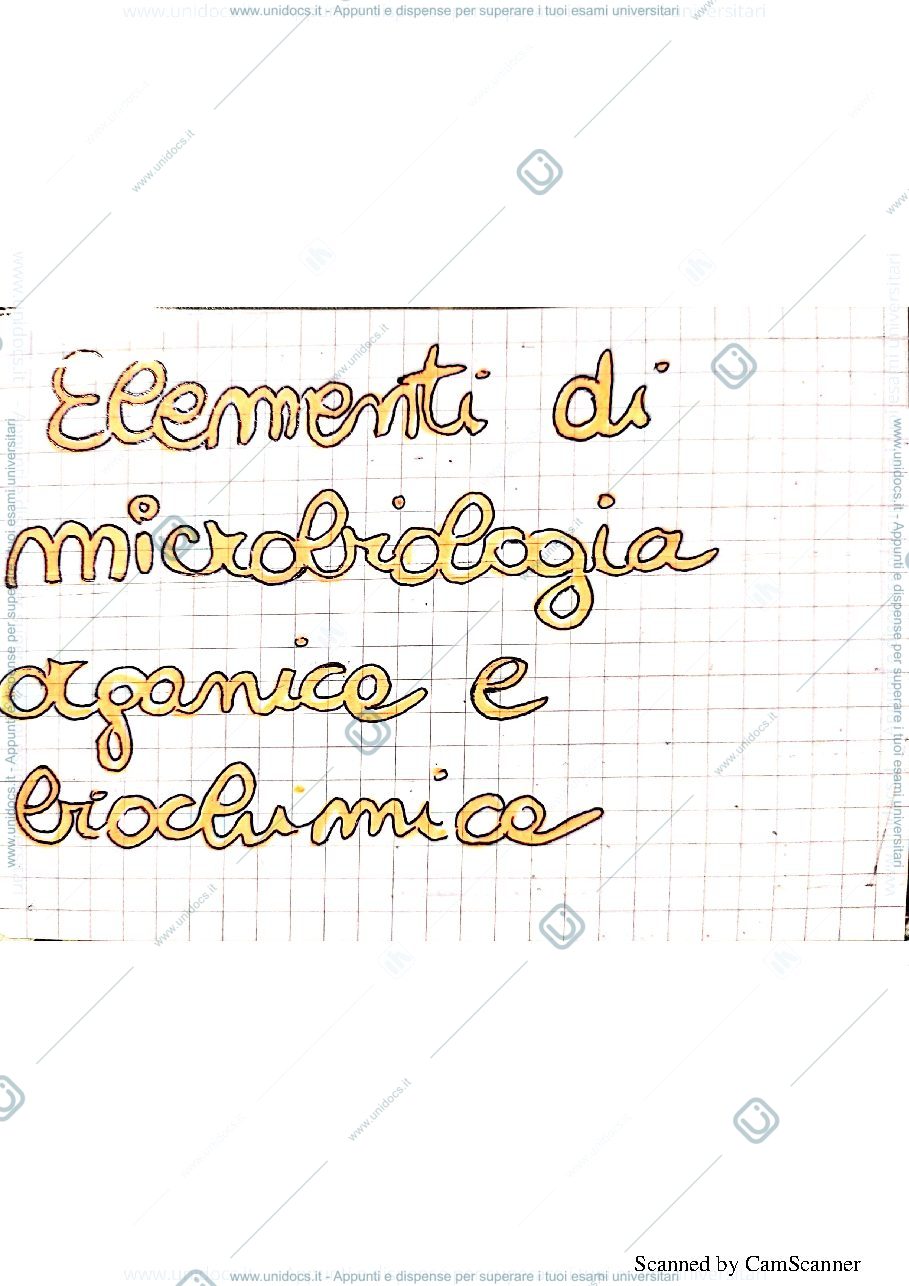 Anteprima pagina 1 — Riassunti e schemi del corso di fondamenti ingegneria sanitaria ambientale