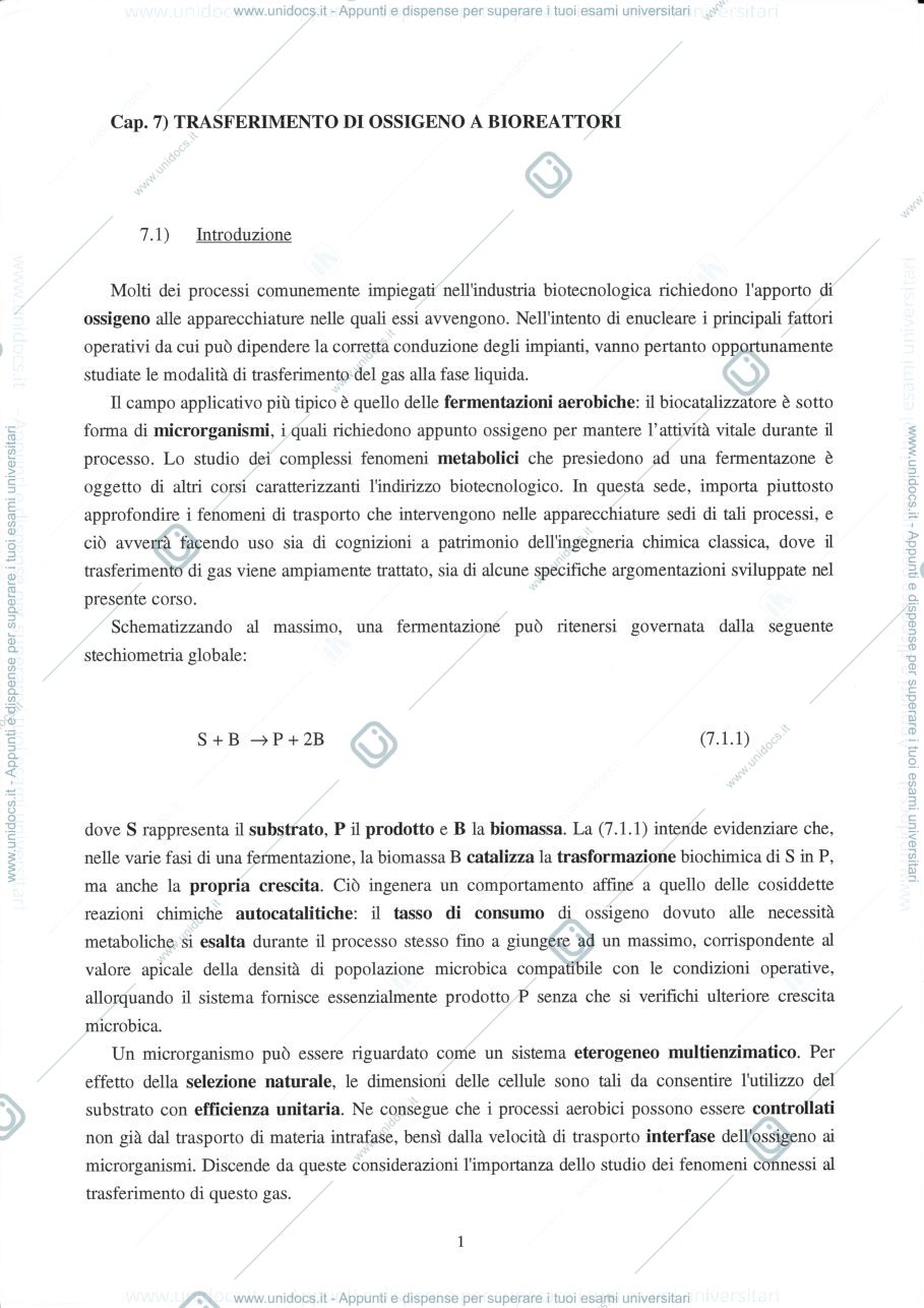 Anteprima pagina 1 — 7  Trasporto di ossigeno a bioreattori
