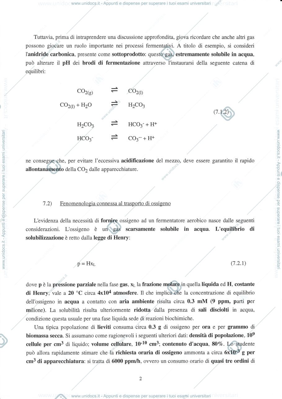 Anteprima pagina 2 — 7  Trasporto di ossigeno a bioreattori