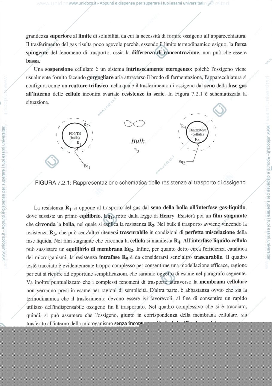 Anteprima pagina 3 — 7  Trasporto di ossigeno a bioreattori