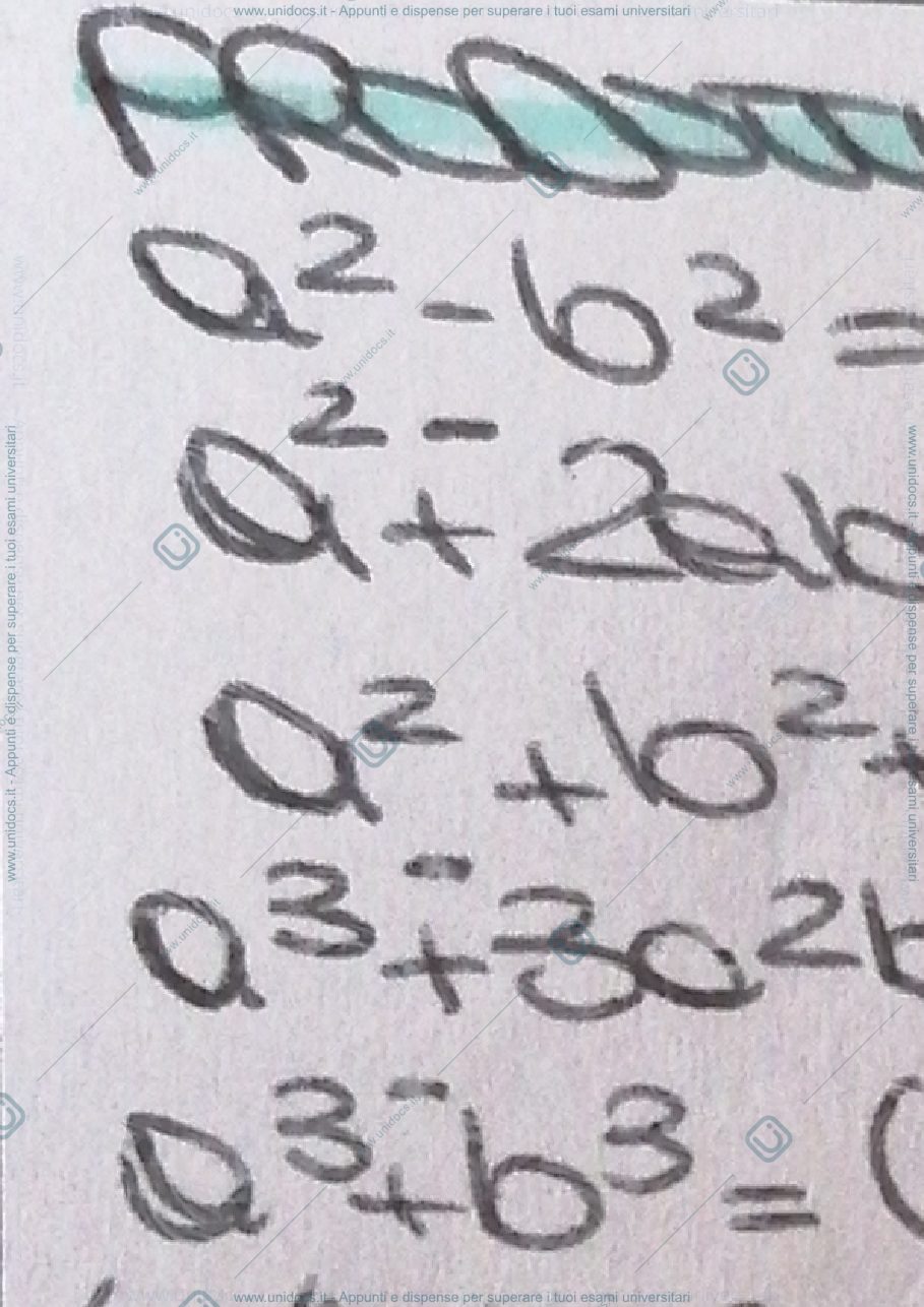 Anteprima pagina 1 — Formulario Analisi (1)