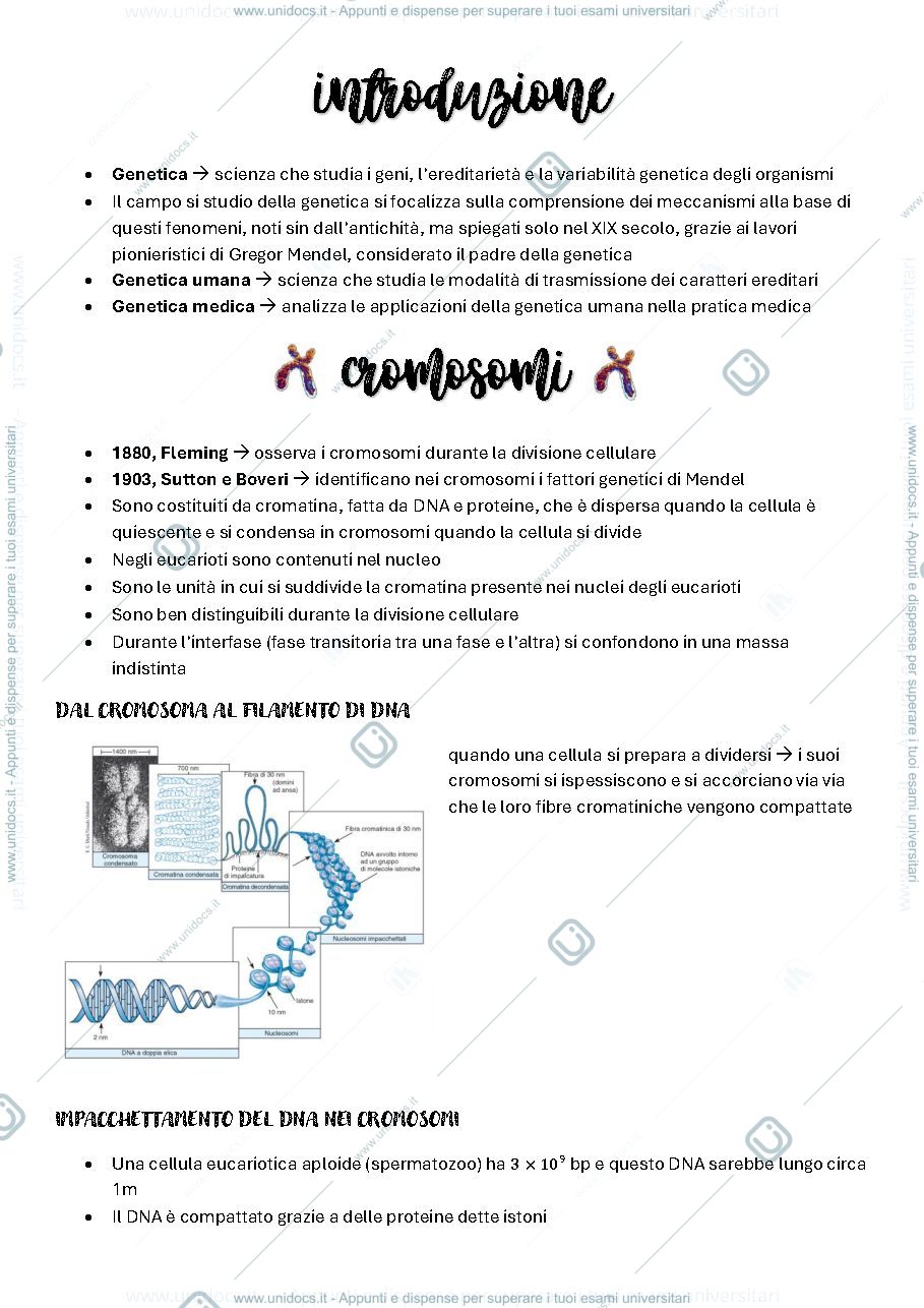Anteprima pagina 2 — genetica medica 