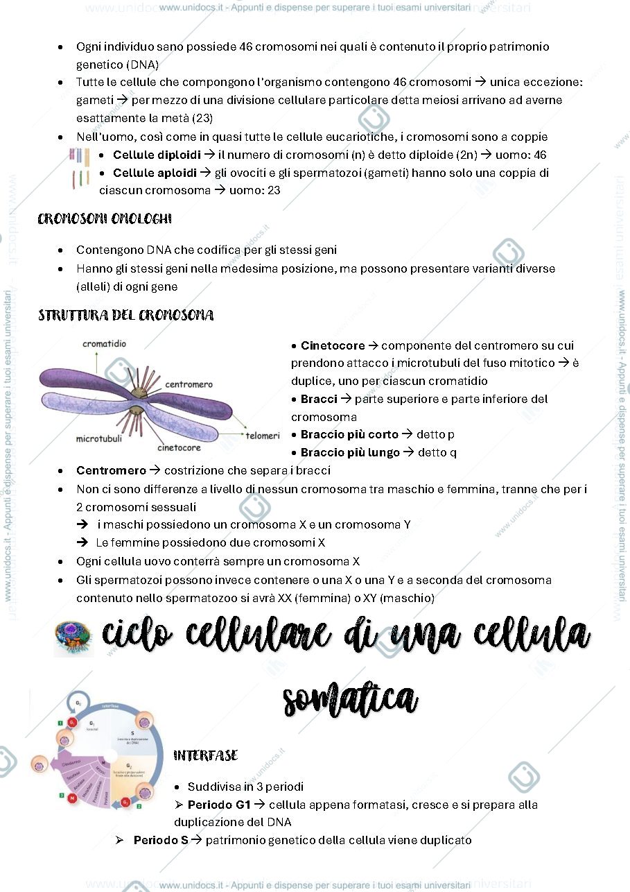 Anteprima pagina 3 — genetica medica 