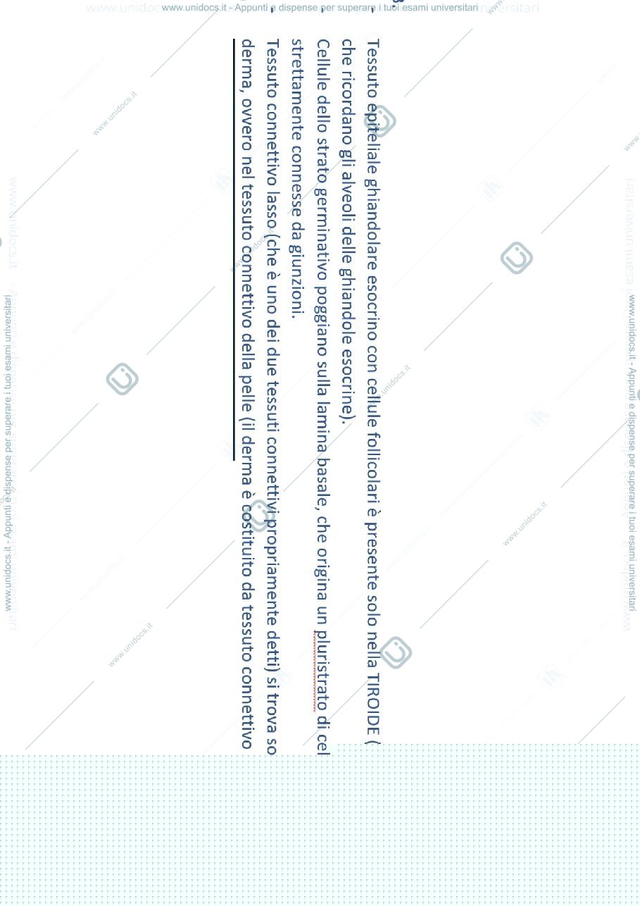 Anteprima pagina 1 — Istologia