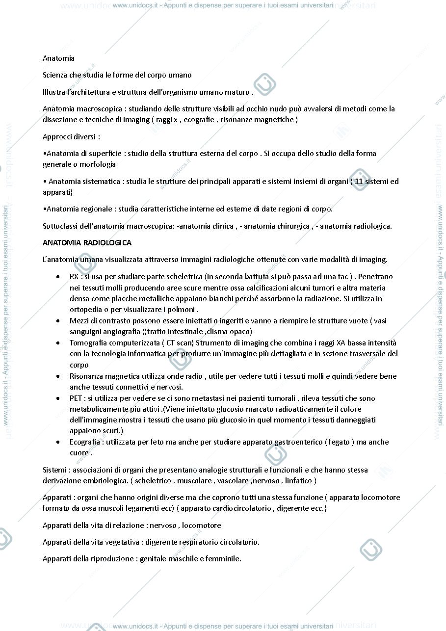 Anteprima pagina 1 — Anatomia 