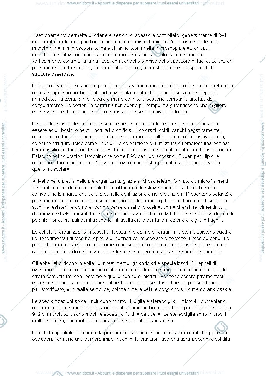 Anteprima pagina 2 — Istologia