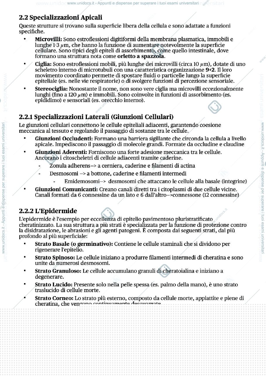 Anteprima pagina 2 — istologia 10 ore