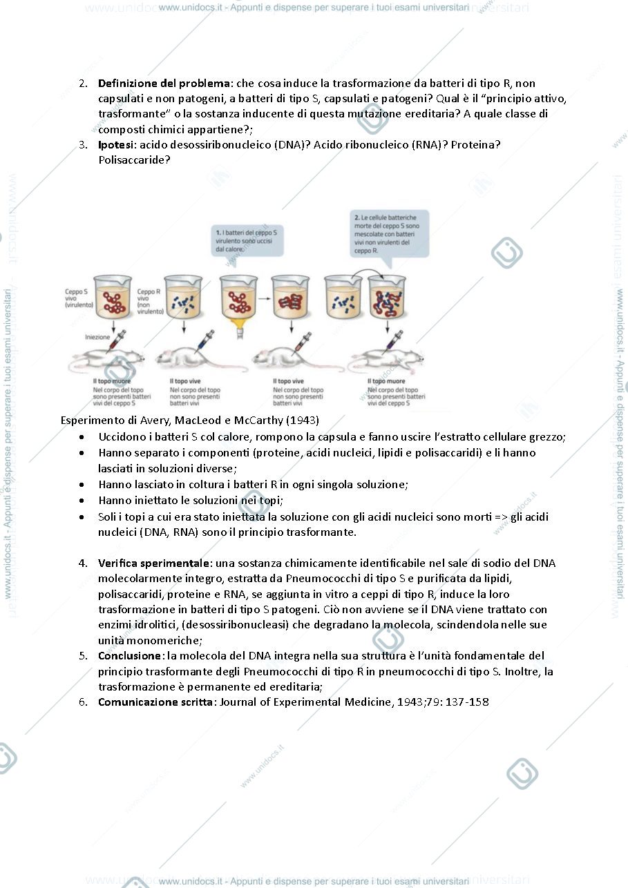 Anteprima pagina 2 — Fondamenti neurobiologici e genetici