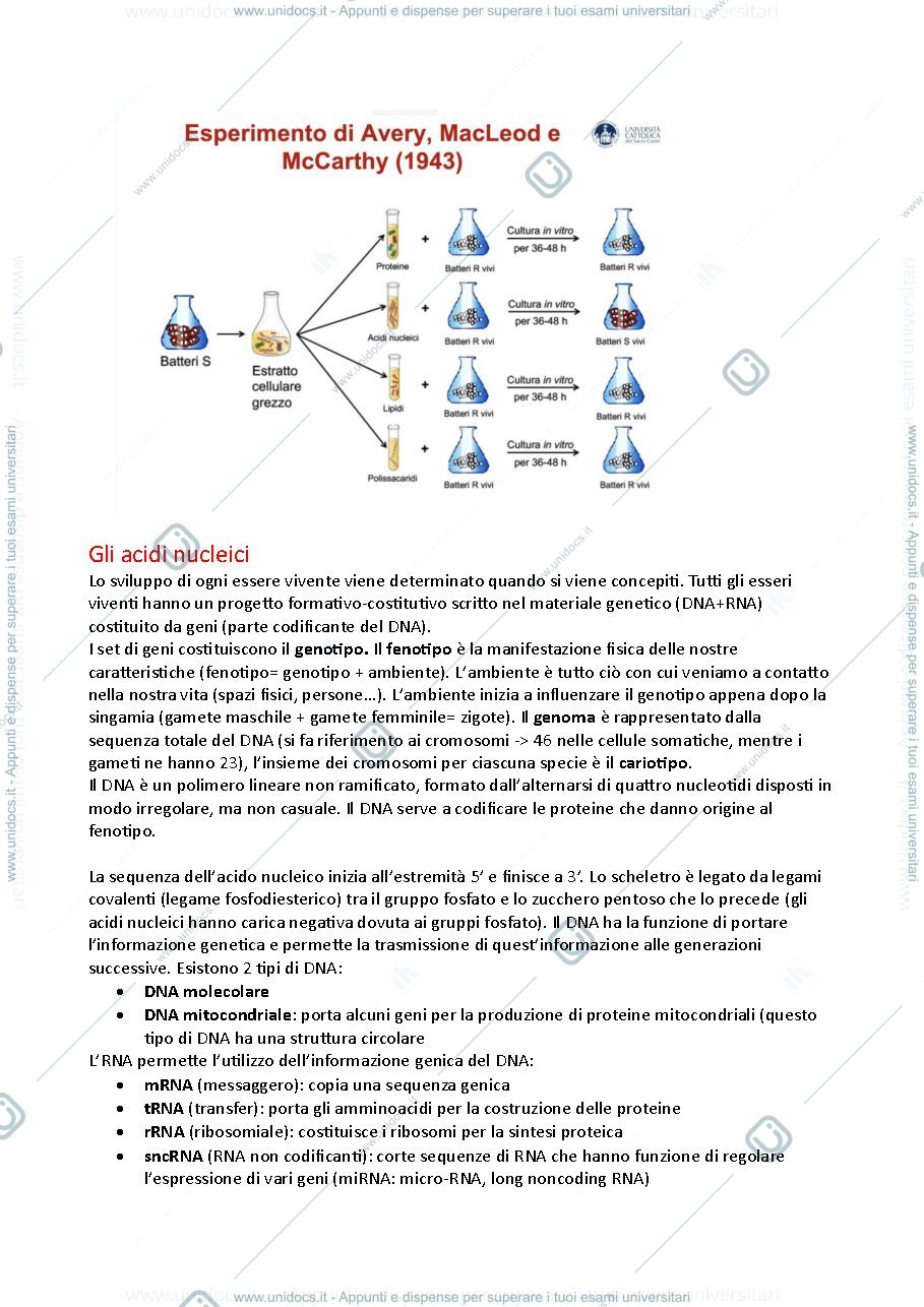 Anteprima pagina 3 — Fondamenti neurobiologici e genetici