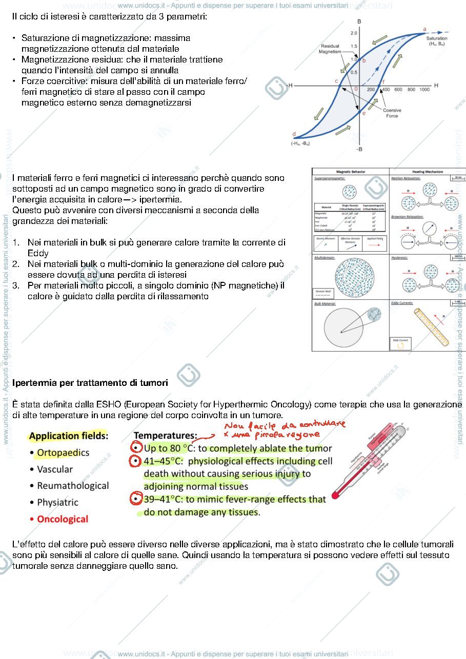 Anteprima pagina 2 — Appunti Prof.ssa Miola