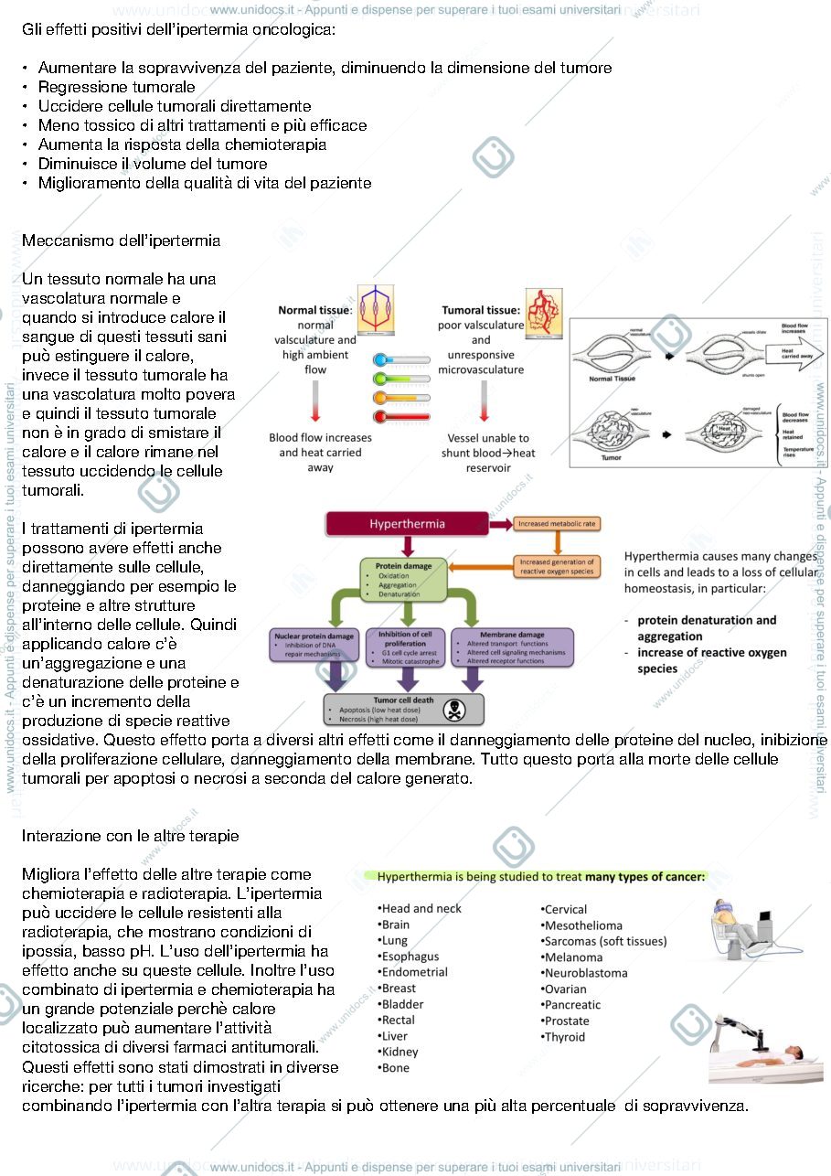 Anteprima pagina 3 — Appunti Prof.ssa Miola