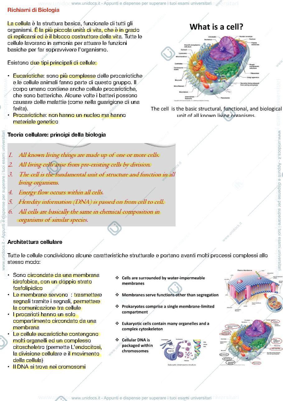 Anteprima pagina 1 — APPUNTI NAPIONE