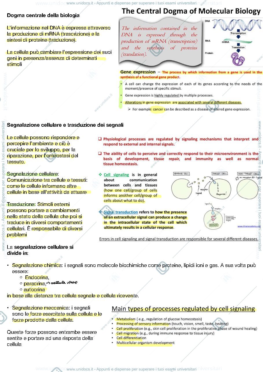 Anteprima pagina 3 — APPUNTI NAPIONE