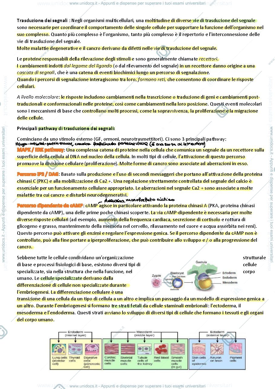 Anteprima pagina 4 — APPUNTI NAPIONE