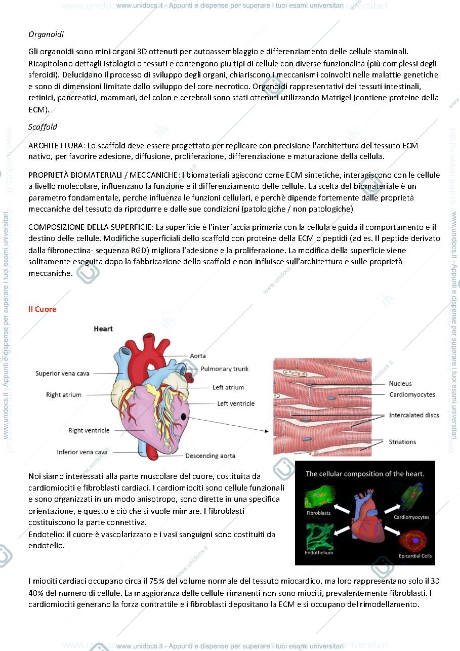 Anteprima pagina 4 — APPUNTI PROF. CARDELL