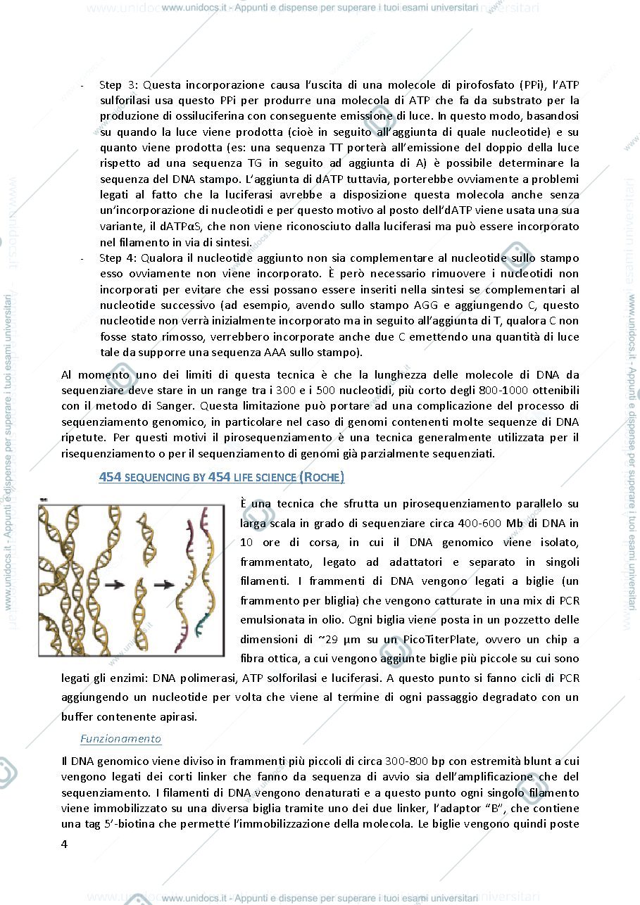 Anteprima pagina 4 — Fuctional genomics (Prof. Martin Kater)