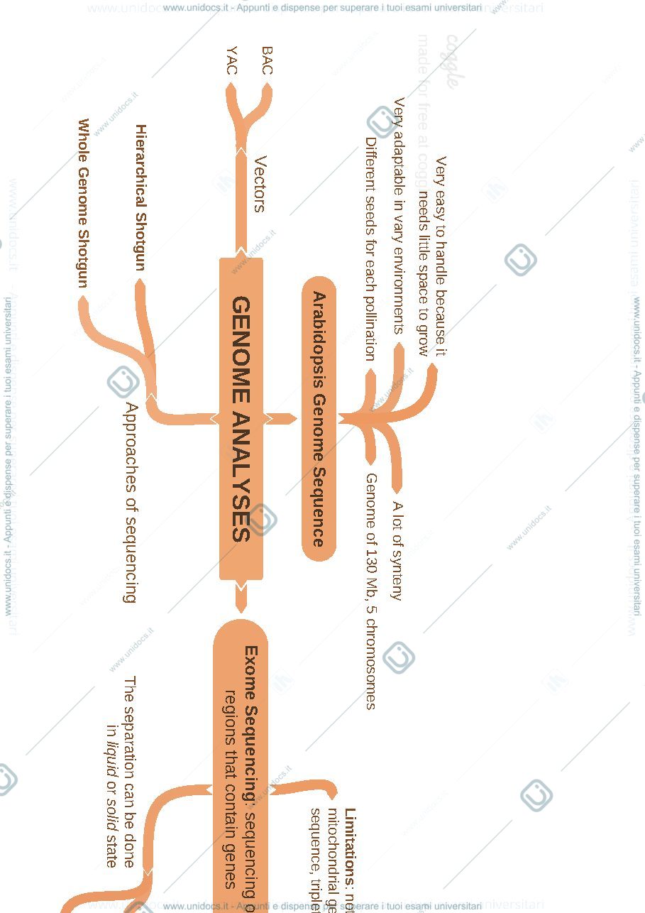 Anteprima pagina 2 — Functional Genomics Schemes