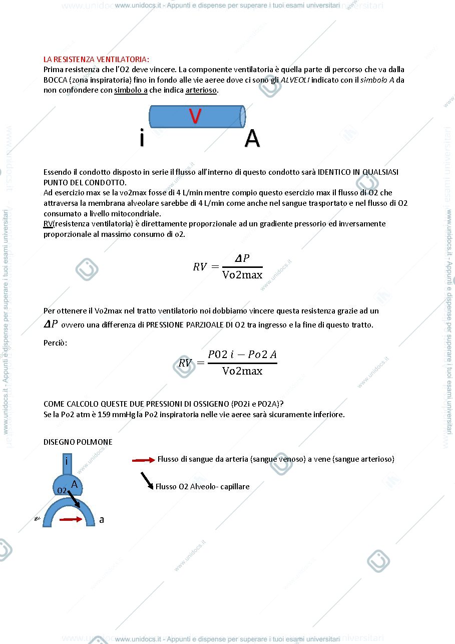 Anteprima pagina 2 — funzionalità fisiologica, parte esposito