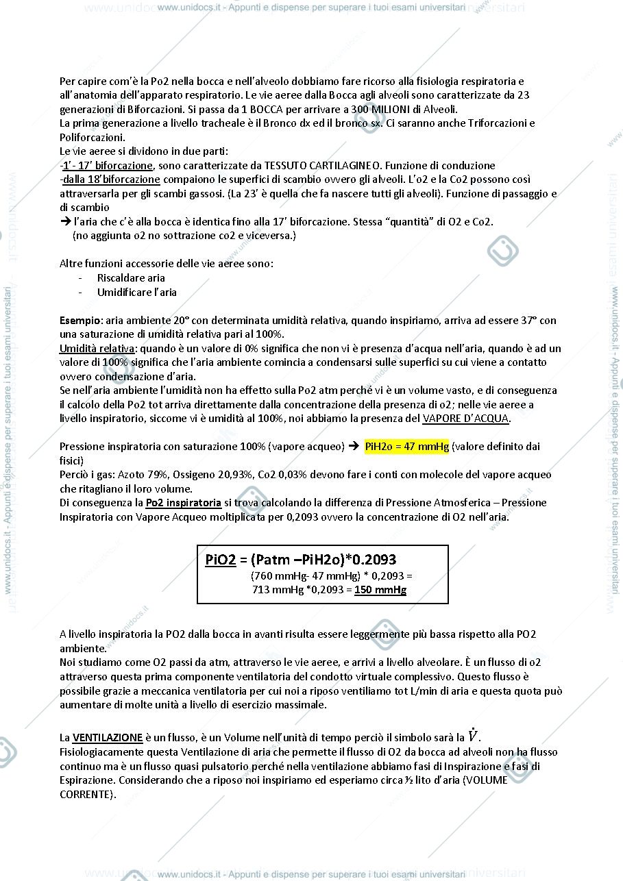 Anteprima pagina 3 — funzionalità fisiologica, parte esposito