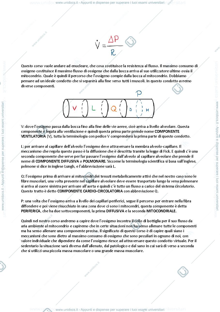 Anteprima pagina 2 — FUNZIONALITA' FISIOLOGICA