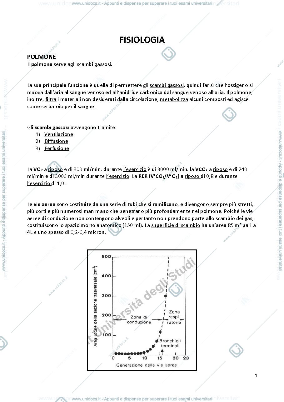 Anteprima pagina 1 — esposito