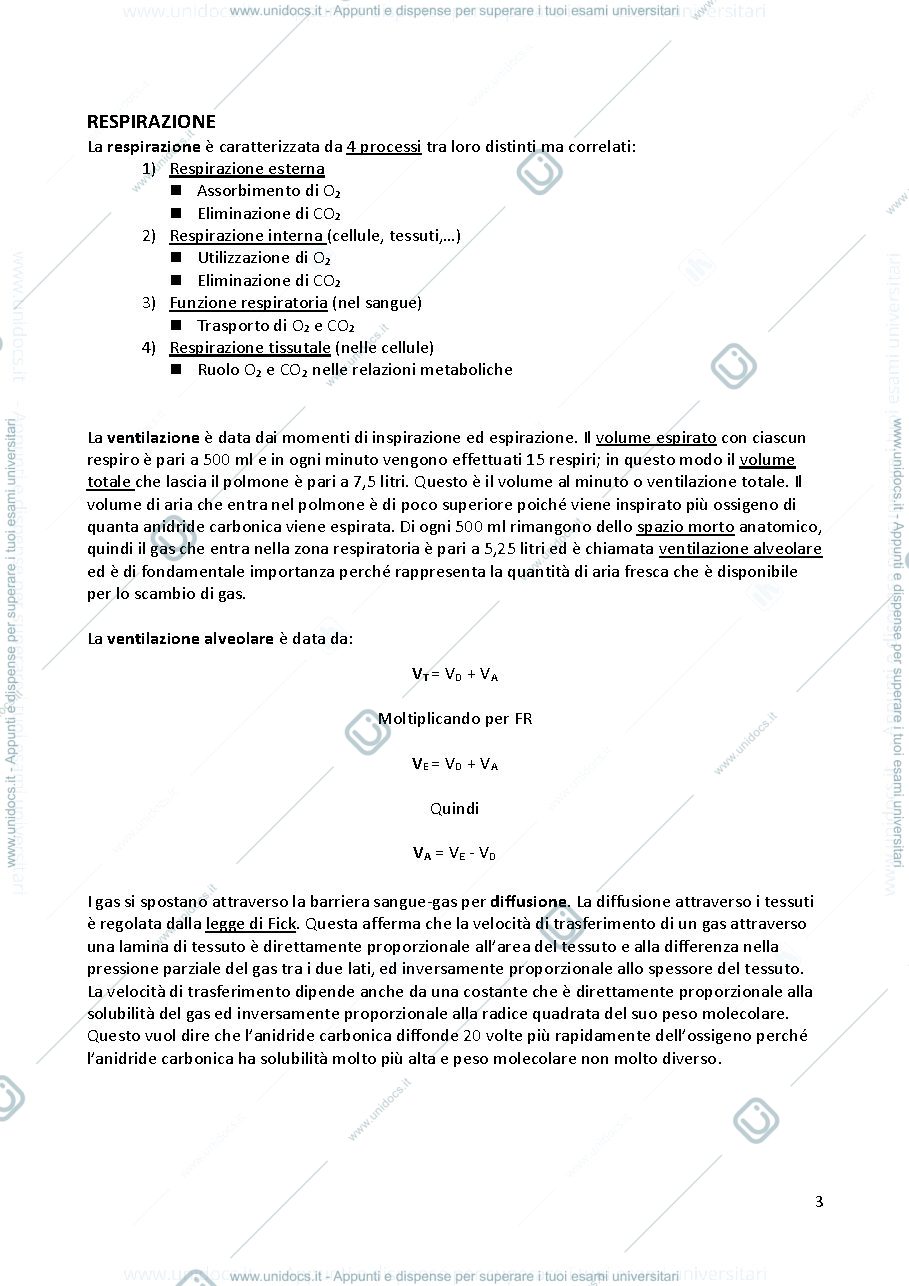 Anteprima pagina 3 — esposito