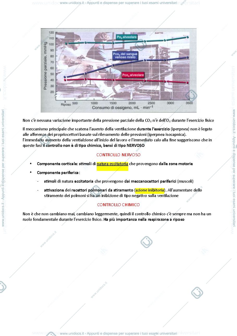 Anteprima pagina 2 — Controllo ventilazione