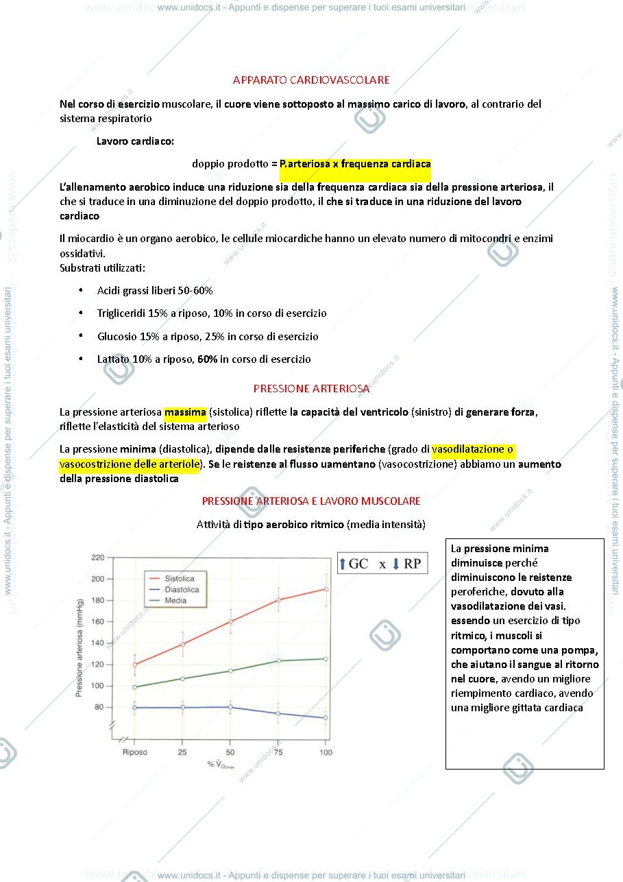 Anteprima pagina 1 — Punto Obla