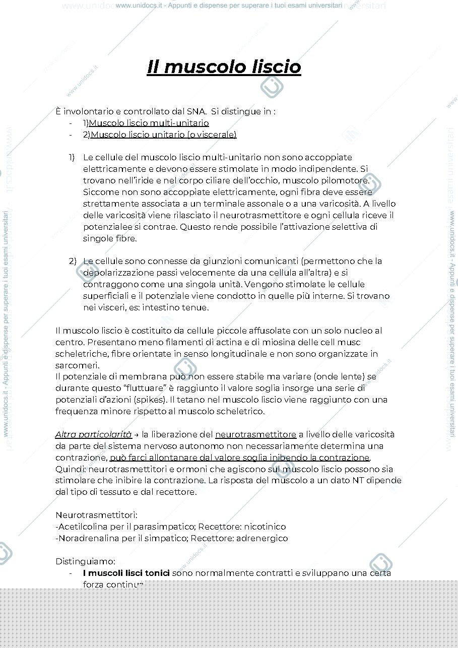 Anteprima pagina 1 — Muscolo liscio