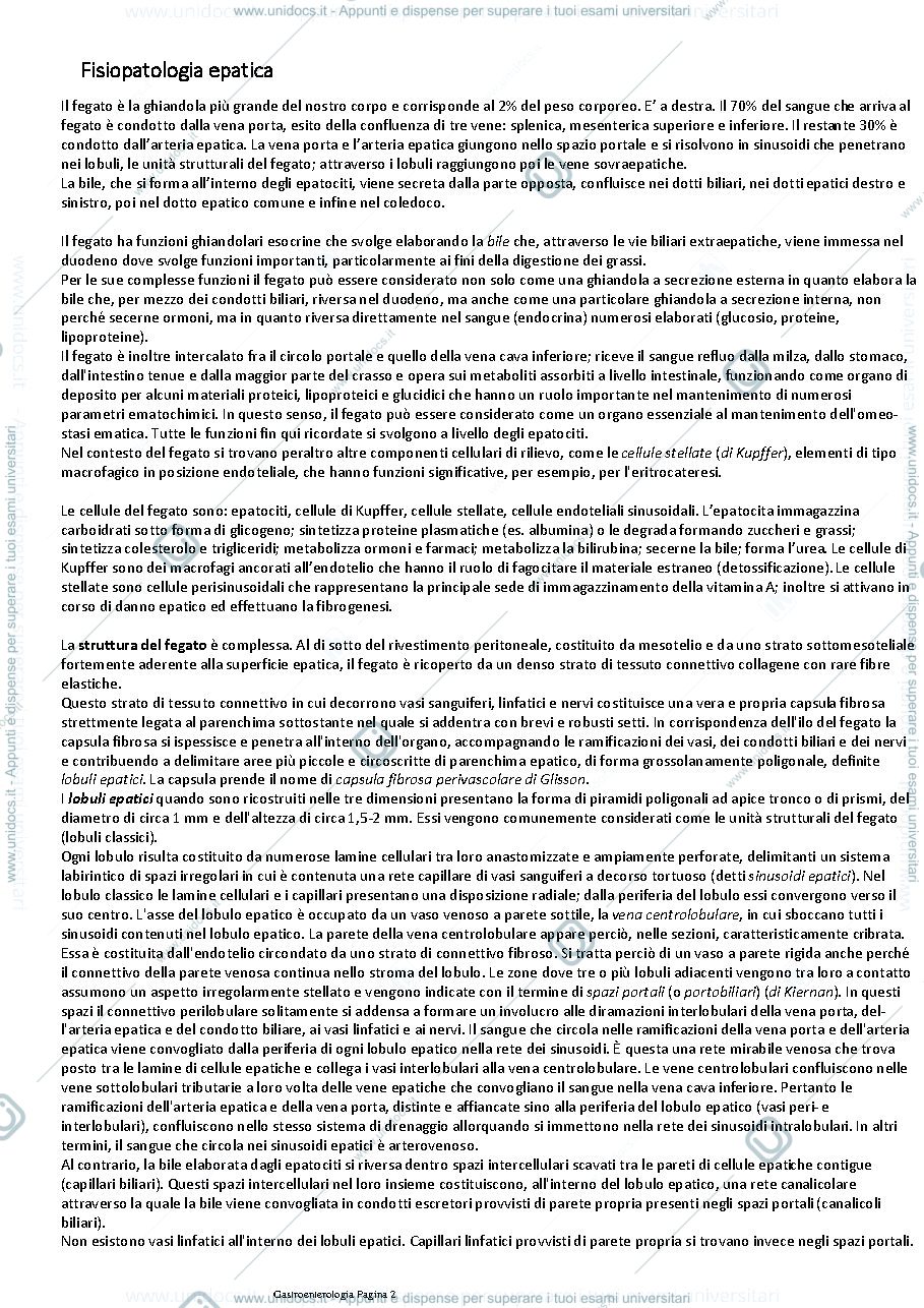 Anteprima pagina 2 — Gastroenterologia