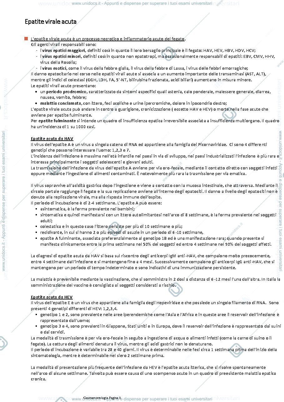 Anteprima pagina 5 — Gastroenterologia