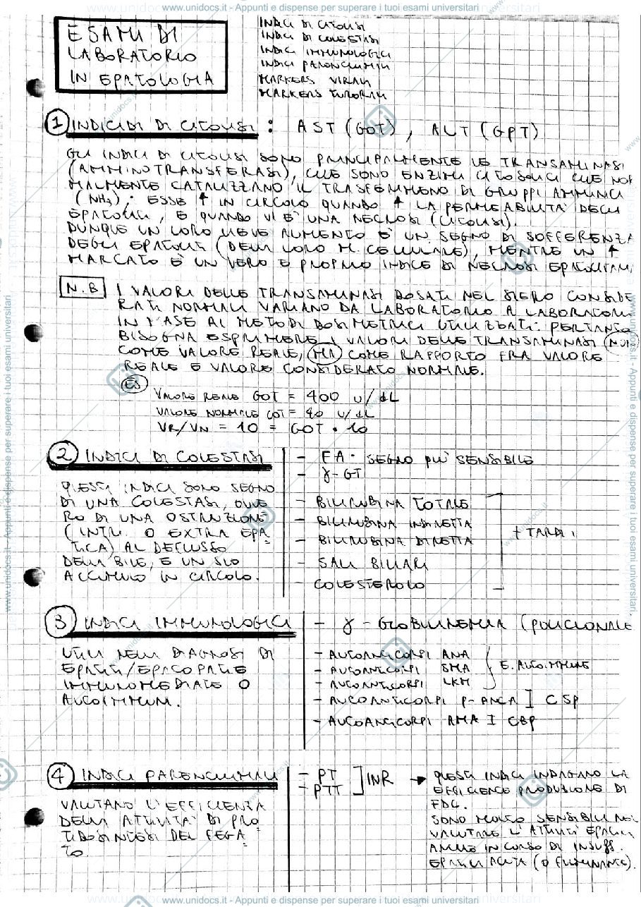 Anteprima pagina 1 — Malattie Epatiche e delle vie Biliari