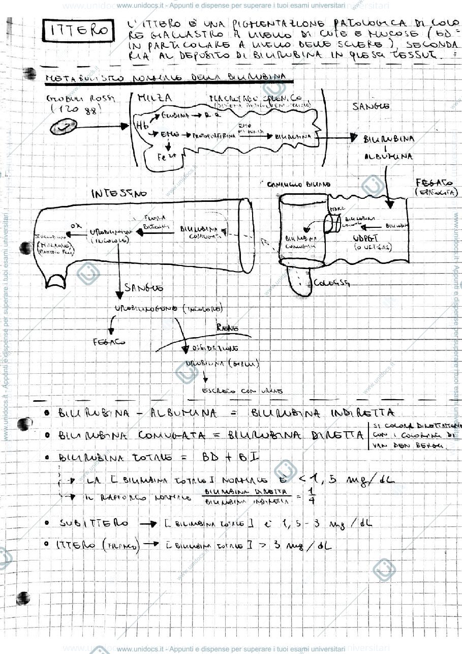 Anteprima pagina 3 — Malattie Epatiche e delle vie Biliari