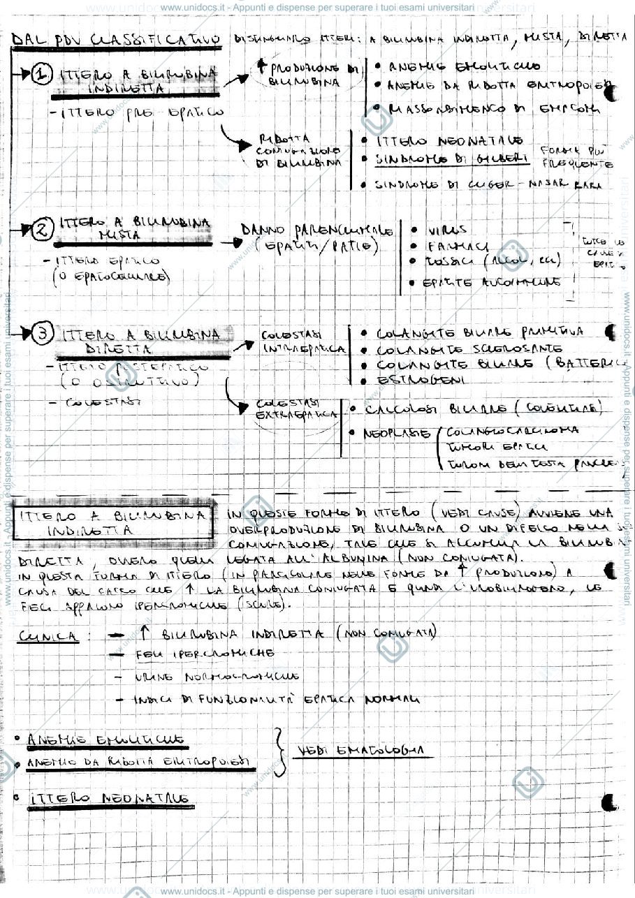 Anteprima pagina 4 — Malattie Epatiche e delle vie Biliari