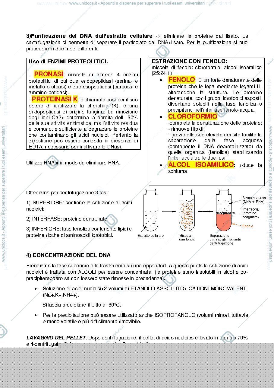 Anteprima pagina 2 — Estrazione, purificazione e quantificazione DNA genomico 