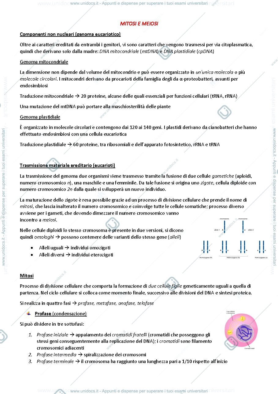 Anteprima pagina 1 — Genetica agraria