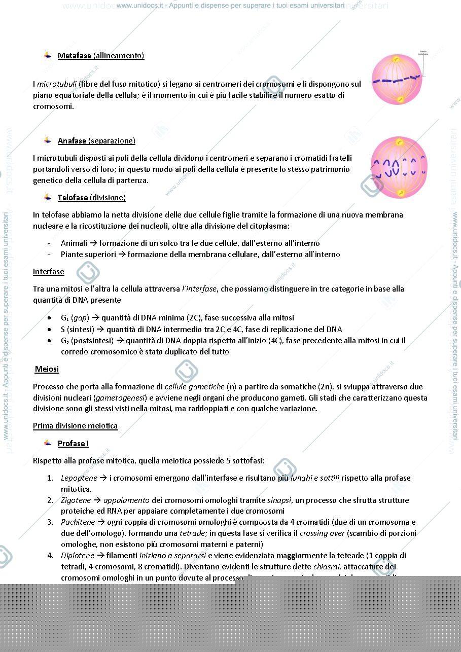 Anteprima pagina 2 — Genetica agraria