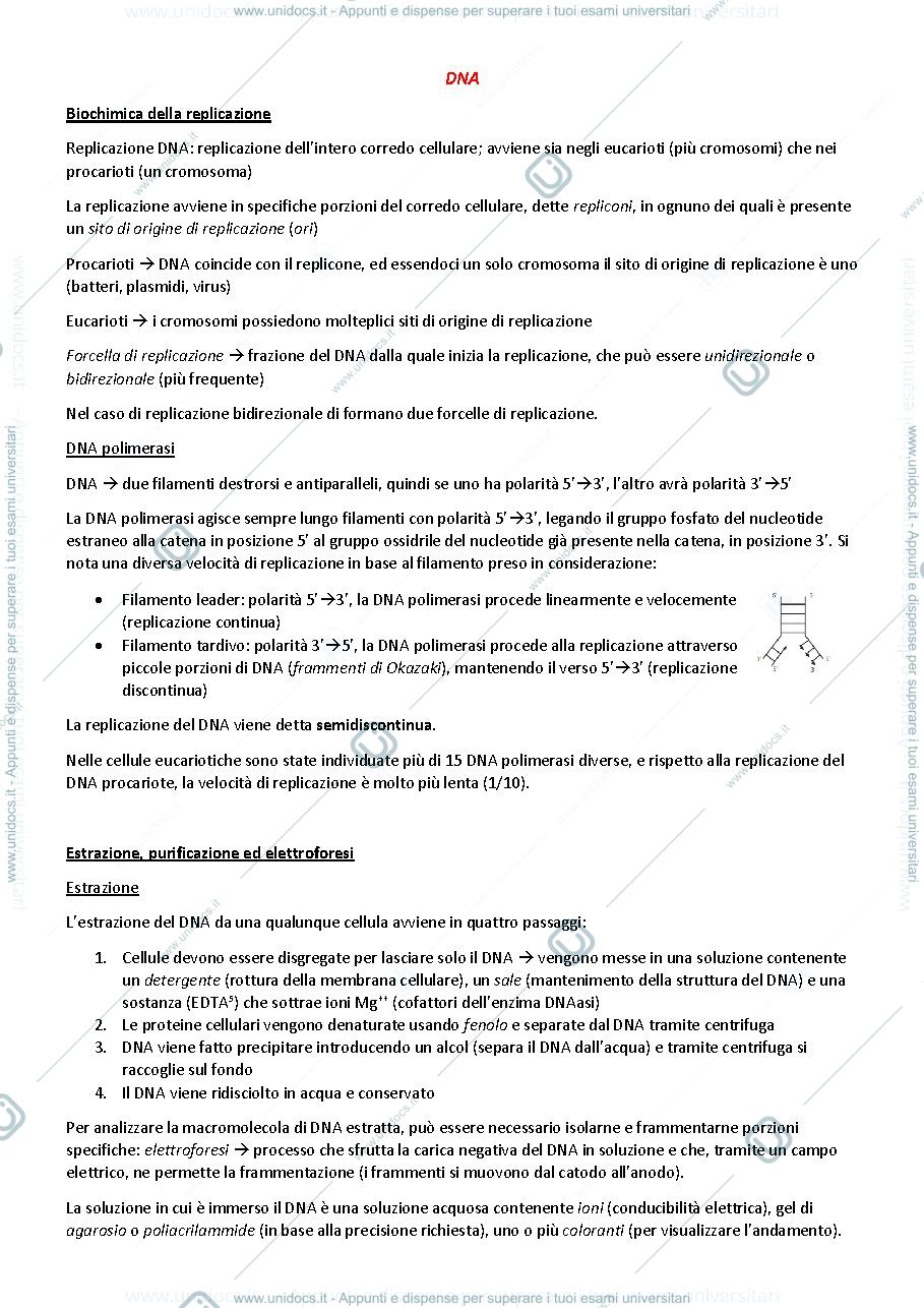 Anteprima pagina 1 — Genetica Agraria 