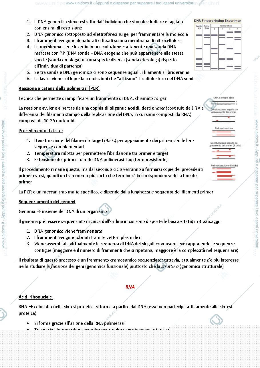Anteprima pagina 3 — Genetica Agraria 