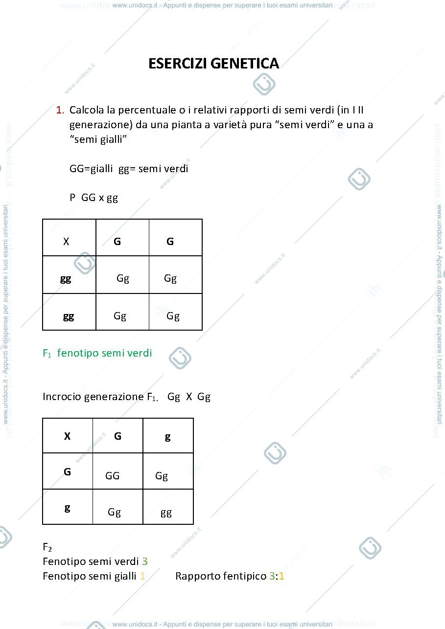Anteprima pagina 1 — Esercizi di genetica 